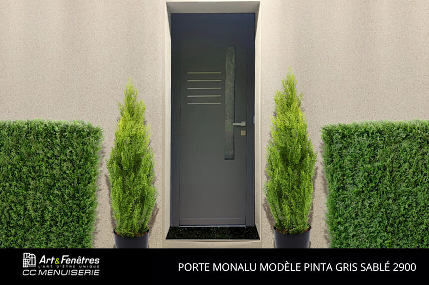 Porte Monalu Modèle Pinta Gris Sablé 2900