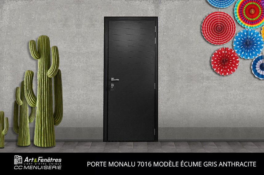 Porte d'entrée Monalu modèle Écume Gris Anthracite