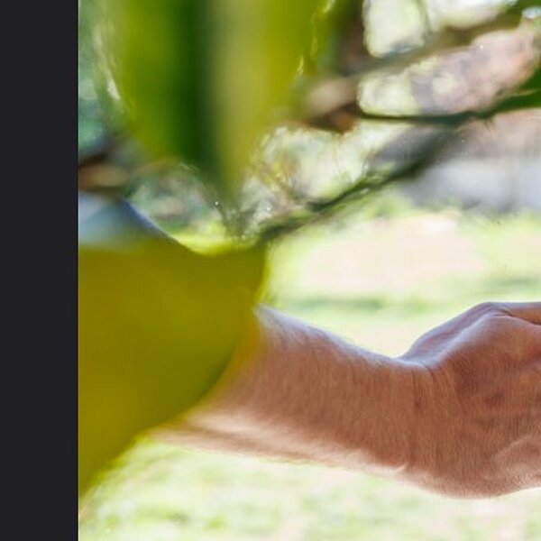 Comment éviter les moisissures chez soi ?